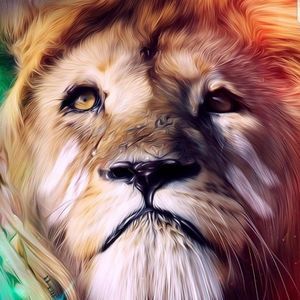 Meet your Posher, Bruce